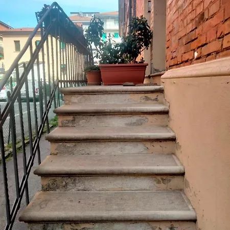 Dove * Bologna