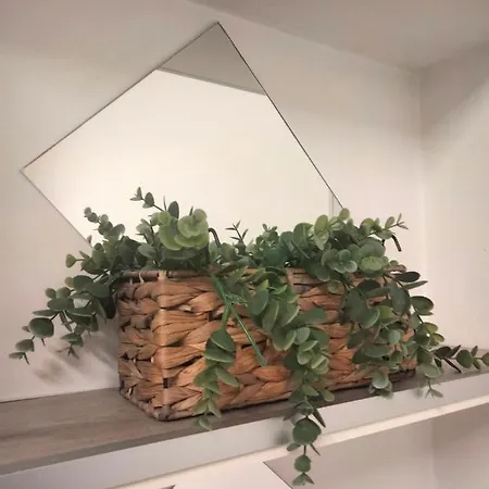 Apartment Dove *